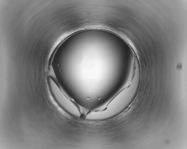 X0000093471005200711021228