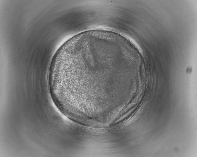 X0000093471007200711021228