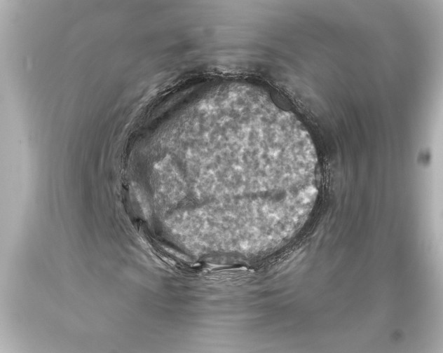 X0000093471009200711021227