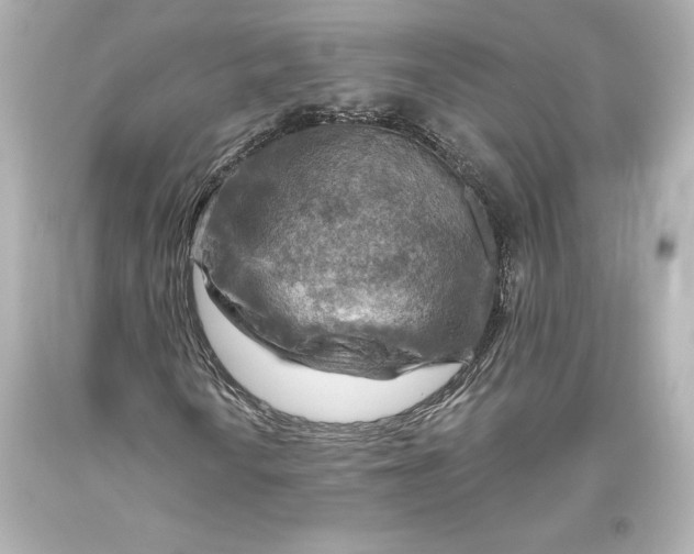 X0000093471010200711021227