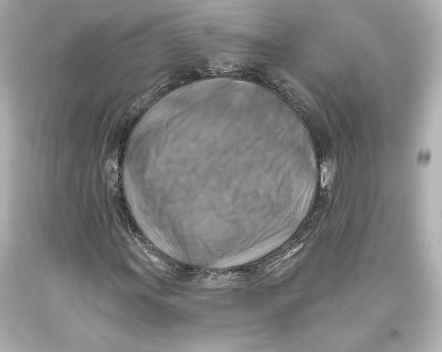 X0000093471011200711021227