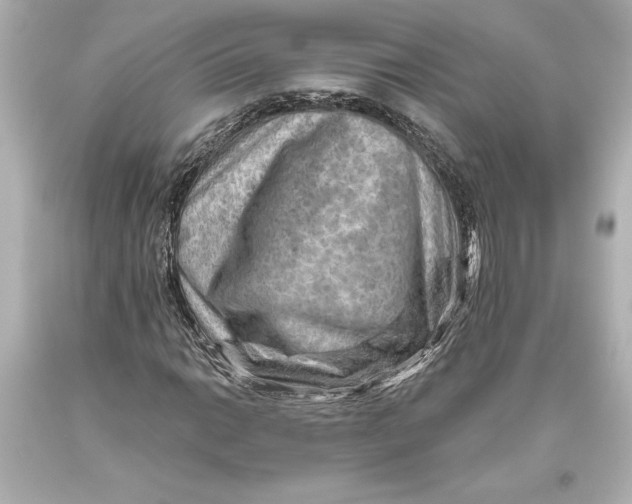 X0000093471014200711021227