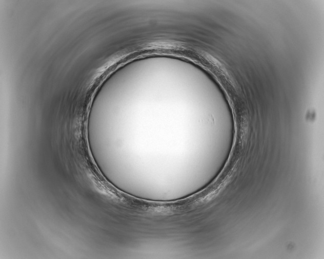 X0000093471017200711021227