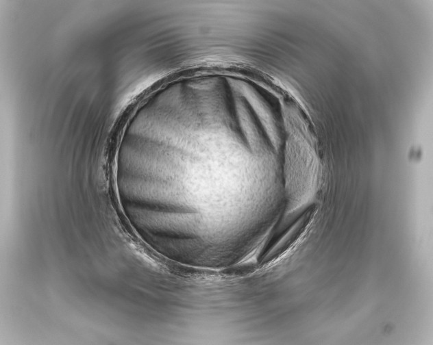 X0000093471018200711021227