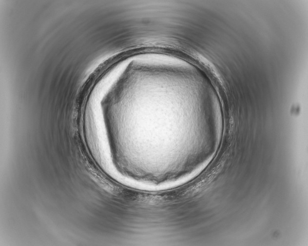 X0000093471019200711021227