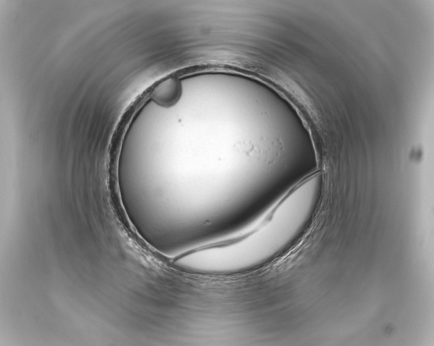 X0000093471020200711021227