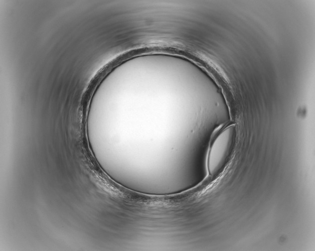 X0000093471021200711021227