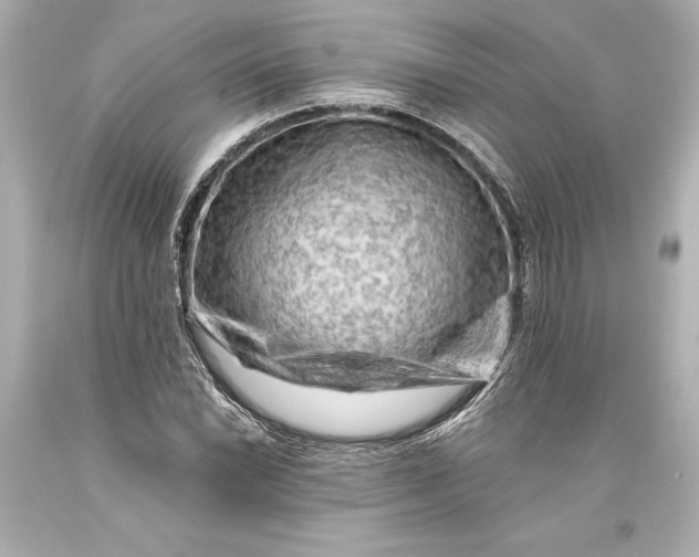 X0000093471022200711021227