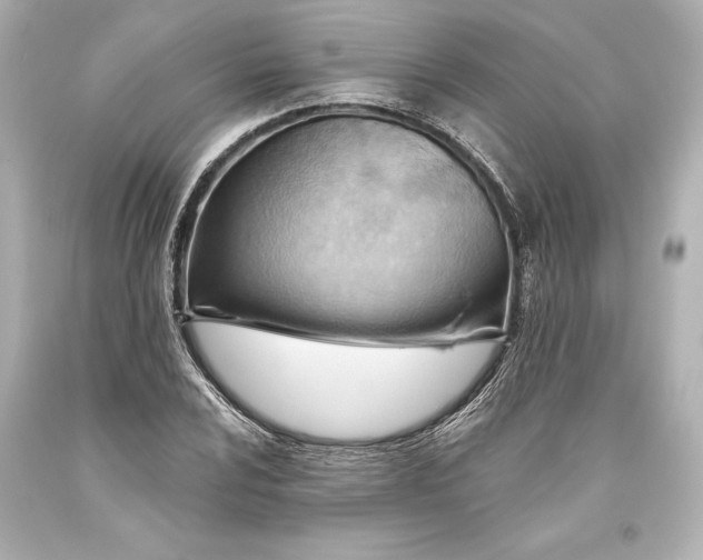 X0000093471024200711021227