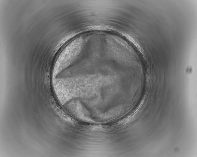 X0000093471025200711021227