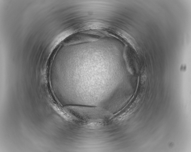 X0000093471026200711021227