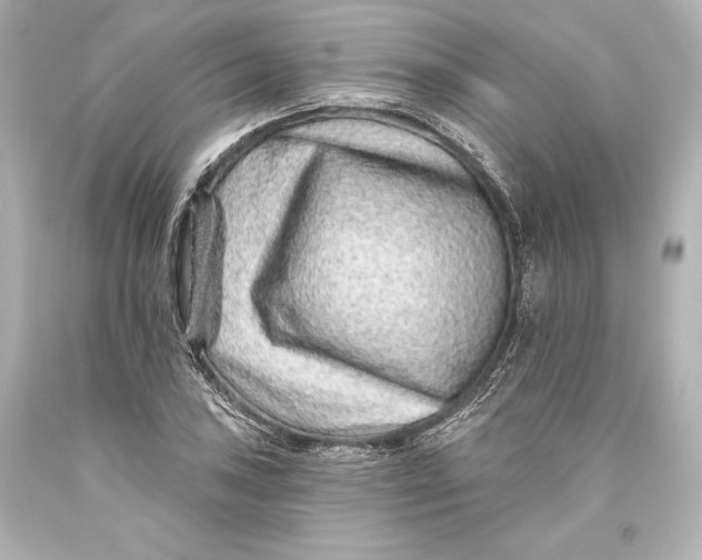 X0000093471027200711021227