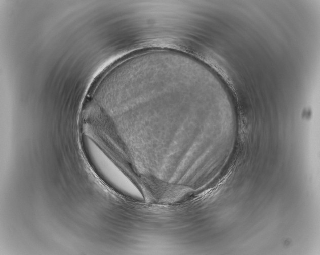 X0000093471028200711021227