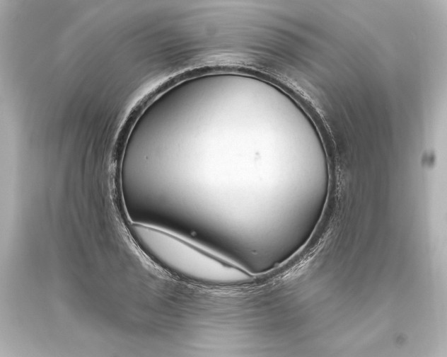 X0000093471029200711021227