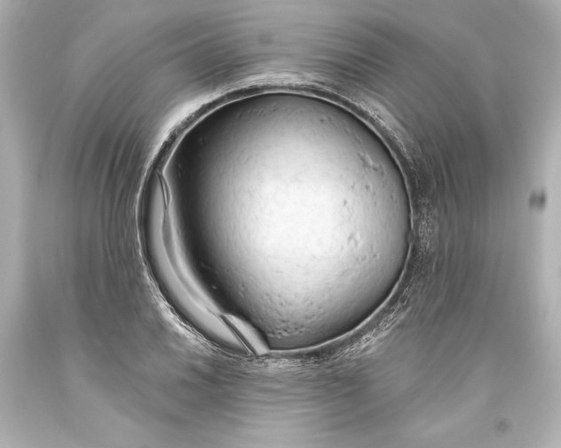 X0000093471030200711021227