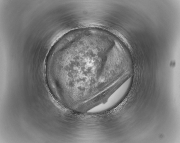 X0000093471031200711021227