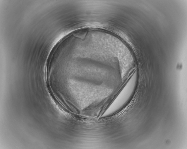 X0000093471032200711021227