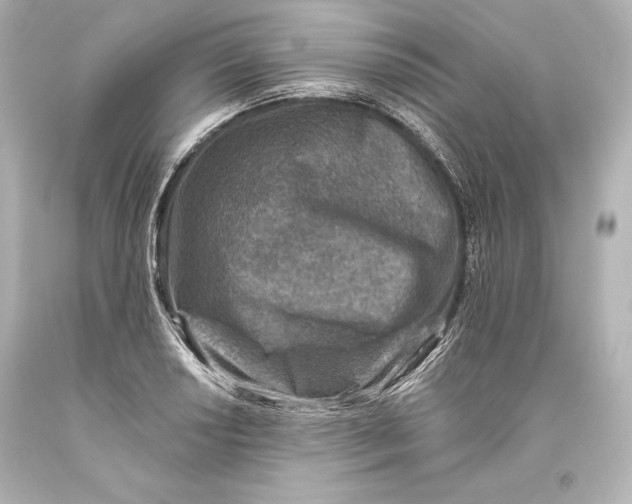 X0000093471034200711021227