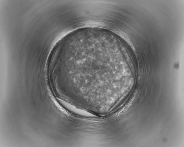 X0000093471037200711021227