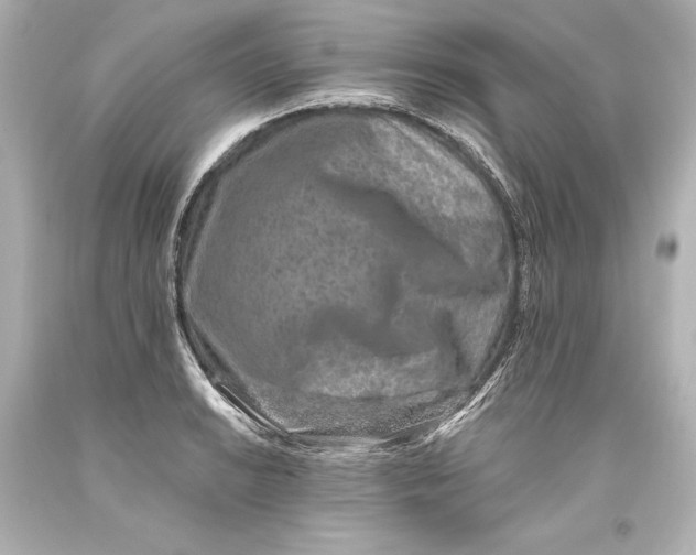 X0000093471038200711021227