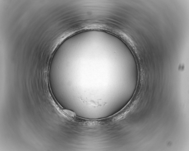 X0000093471041200711021227