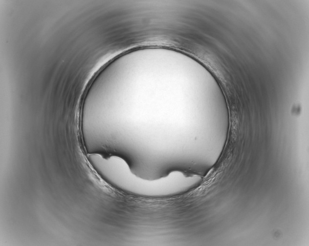 X0000093471044200711021227