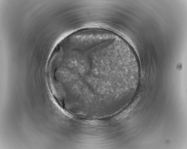 X0000093471045200711021227