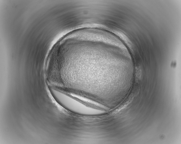 X0000093471046200711021227