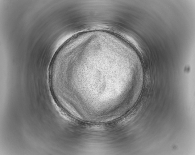 X0000093471047200711021227