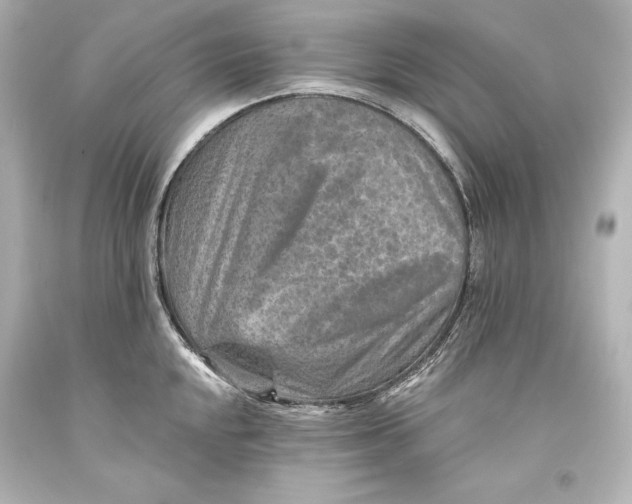 X0000093471048200711021227