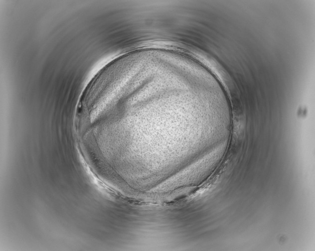 X0000093471050200711021227