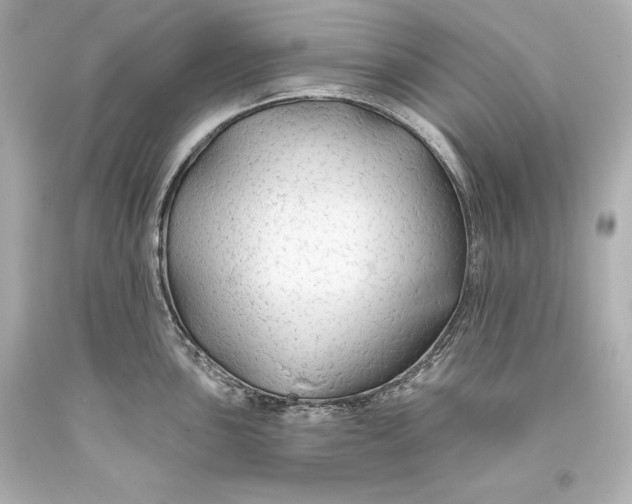 X0000093471051200711021227