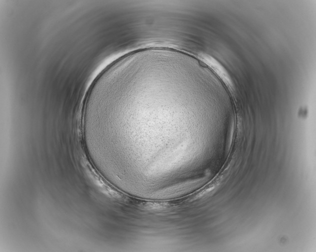 X0000093471052200711021227