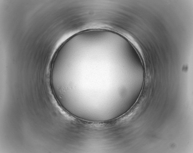 X0000093471053200711021227