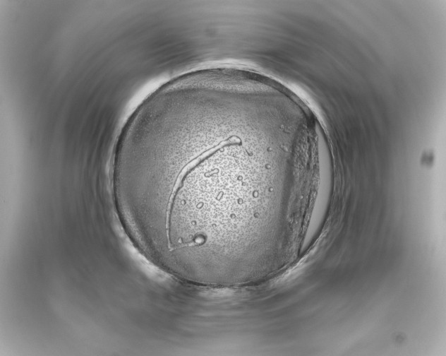 X0000093471054200711021227