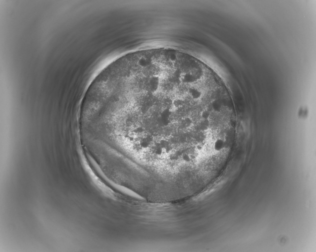 X0000093471055200711021227