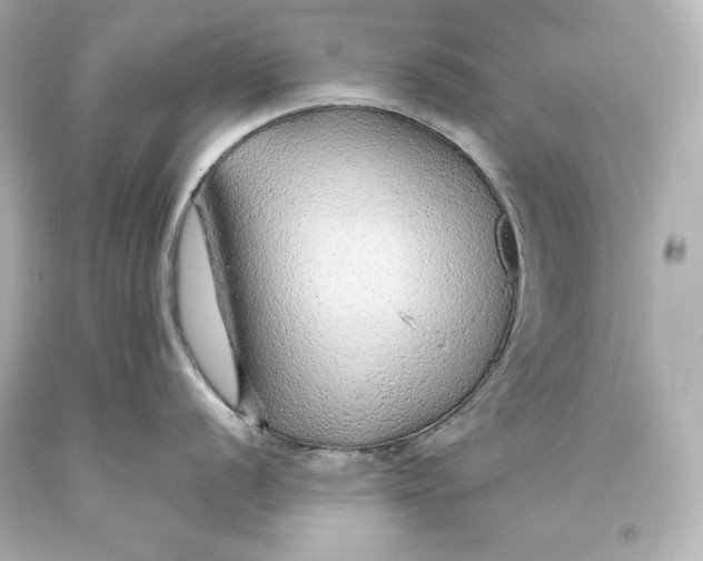 X0000093471056200711021227