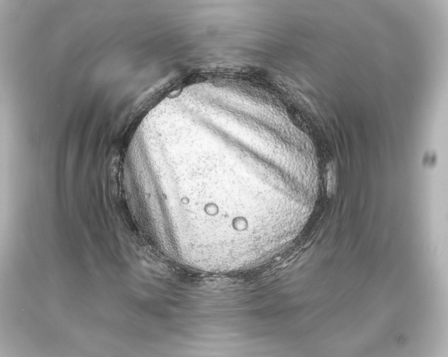 X0000093471059200711021227