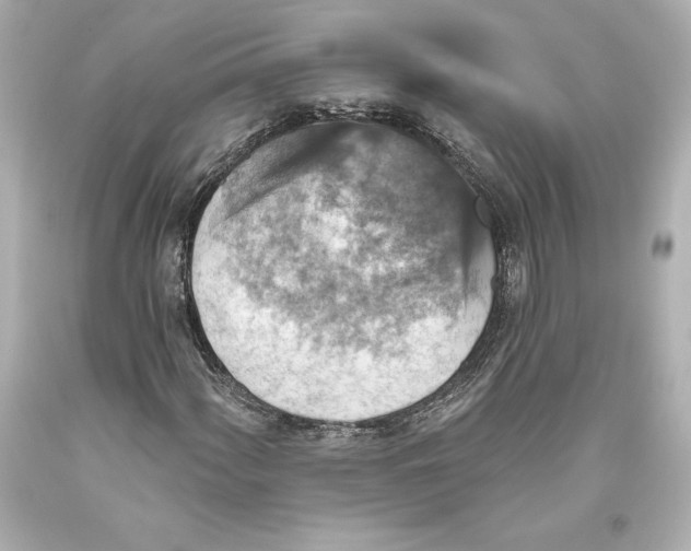 X0000093471060200711021227