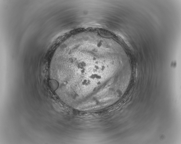 X0000093471063200711021227