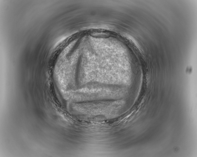 X0000093471064200711021227