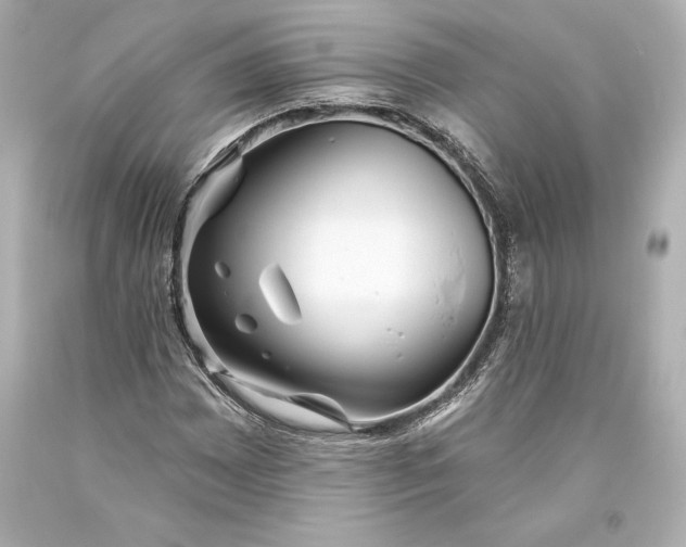 X0000093471065200711021227