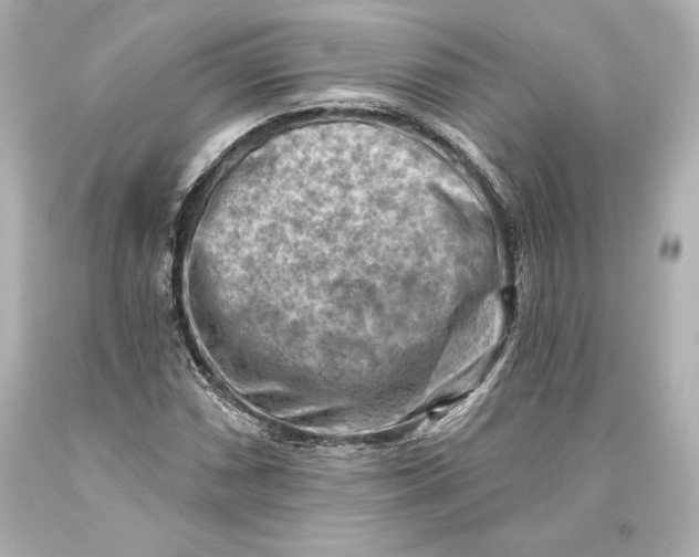 X0000093471066200711021227