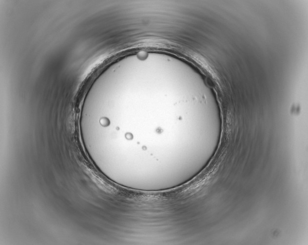 X0000093471067200711021227