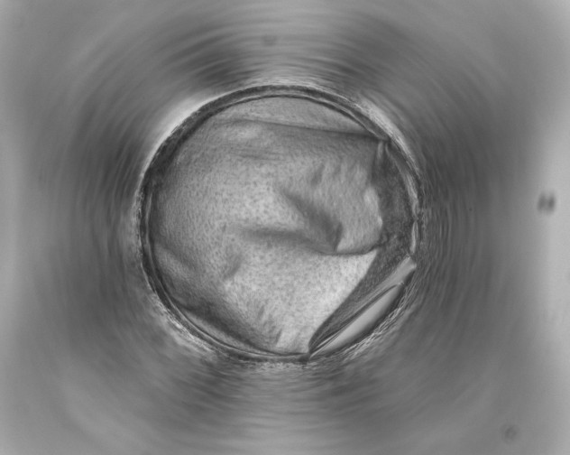 X0000093471068200711021227