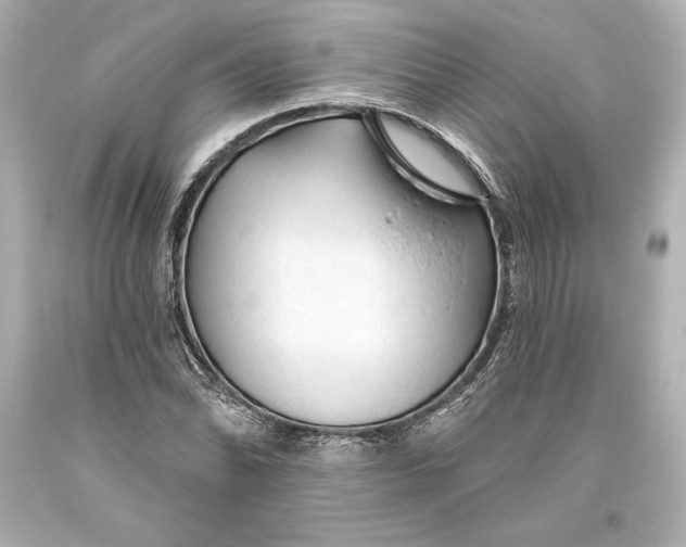 X0000093471070200711021226