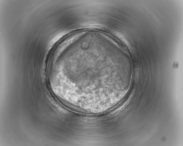 X0000093471071200711021226