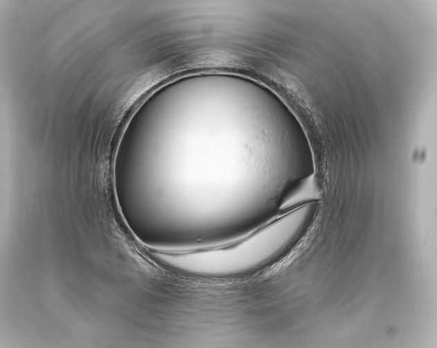 X0000093471073200711021226