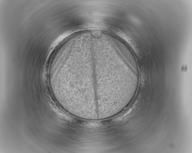 X0000093471074200711021226