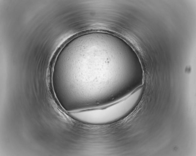 X0000093471076200711021226